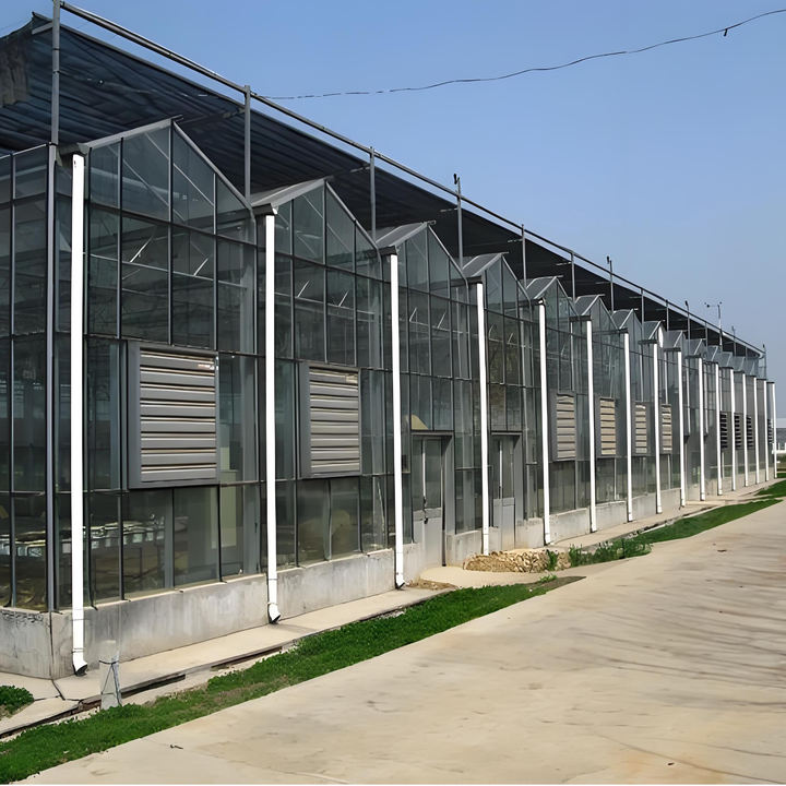 Solar-Powered Large and Small Agricultural Greenhouses Galvanized Steel Frame with PE Film Glass Cover for Plant Usage