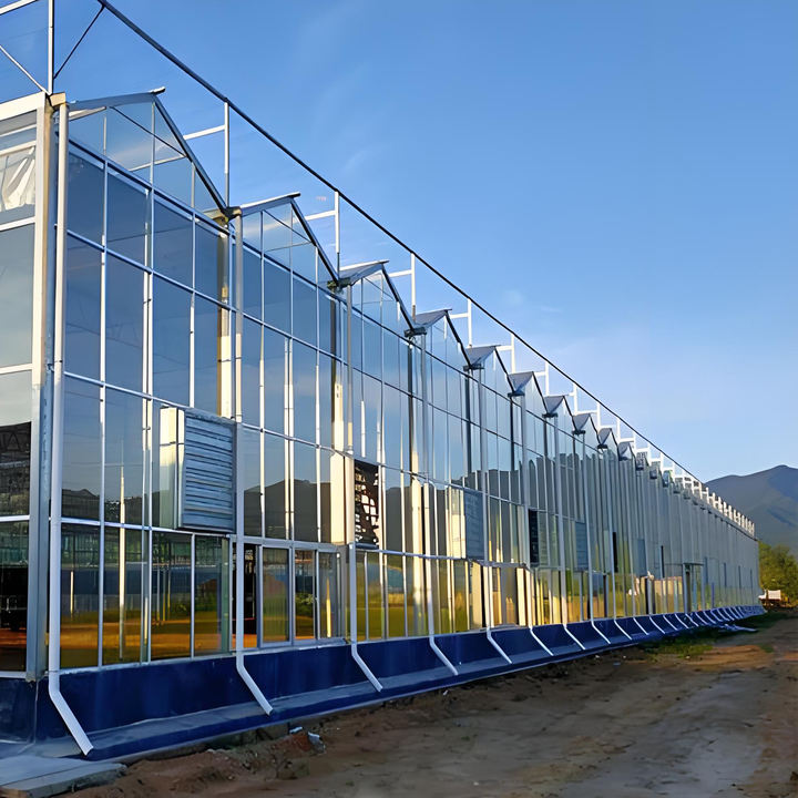 Solar-Powered Large and Small Agricultural Greenhouses Galvanized Steel Frame with PE Film Glass Cover for Plant Usage