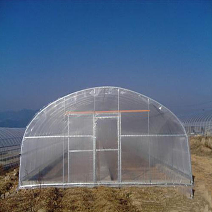 Super Arch Gutter Connect Greenhouse Low Cost Single Span Film Greenhouse For Strawberry And Tomato China Manufacturing Distributor