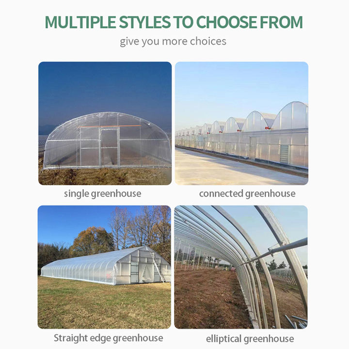 Super Arch Gutter Connect Greenhouse Low Cost Single Span Film Greenhouse For Strawberry And Tomato China Manufacturing Distributor