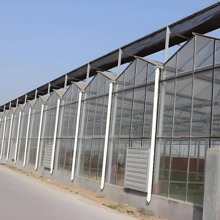 The Cheapest Agricultural/Commercial/Industrial glass Greenhouse with Complete Systems For Sale