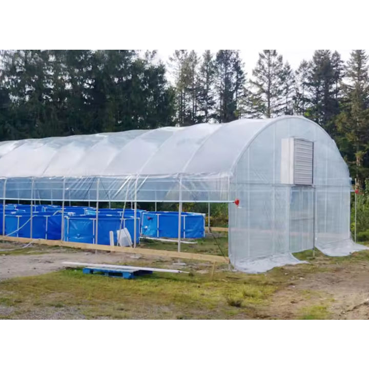 Tomato Greenhouse Galvanized Single Span And Single-Span Agricultural Greenhouse By Plastic Film Agriculture Greenhouse Rapid Production Solutions Trade