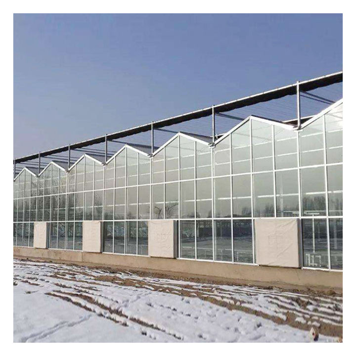 Tomato hydroponic growing systems glasshouse multi span tempered glass green house for vegetables Manufacturing and Export Efficiency