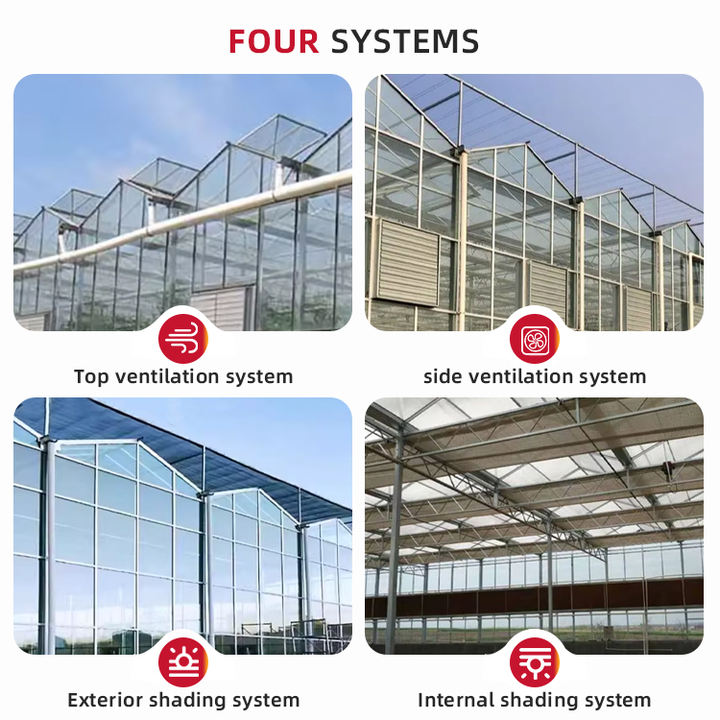 Tomato hydroponic growing systems glasshouse multi span tempered glass green house for vegetables Manufacturing and Export Efficiency