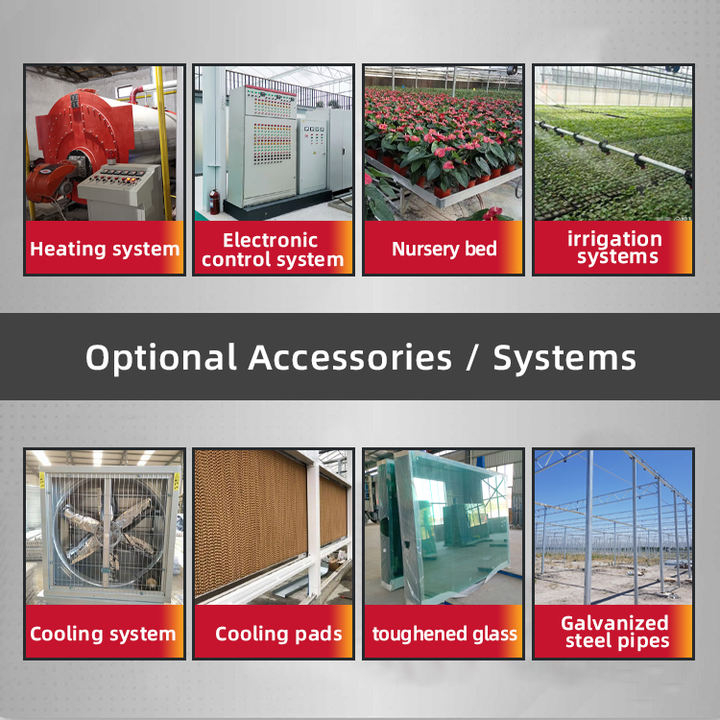Tomato hydroponic growing systems glasshouse multi span tempered glass green house for vegetables Manufacturing and Export Efficiency