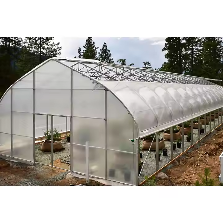 Vegetable planting single simple greenhouse farm greenhouse for Vegetables growing  Single Tunnel Greenhouses