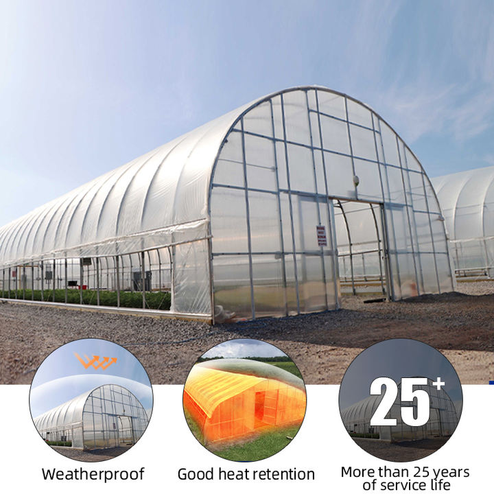 Vegetable planting single simple greenhouse farm greenhouse for Vegetables growing  Single Tunnel Greenhouses