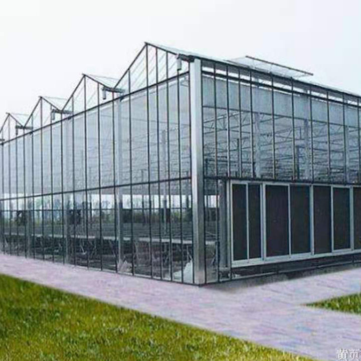 Venlo Greenhouse Glass Greenhouse Galvanized With Steel Frame Hydroponic Growing System In-solar Agricultural Greenhouse