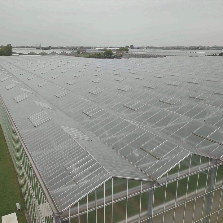 Venlo Greenhouse Glass Greenhouse Galvanized With Steel Frame Hydroponic Growing System In-solar Agricultural Greenhouse