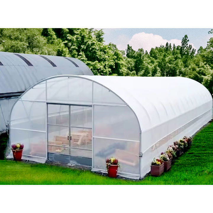 agricultural greenhouse net for agricultural greenhouse Plastic Film Cover Galvanized Steel Frame single  span greenhouse