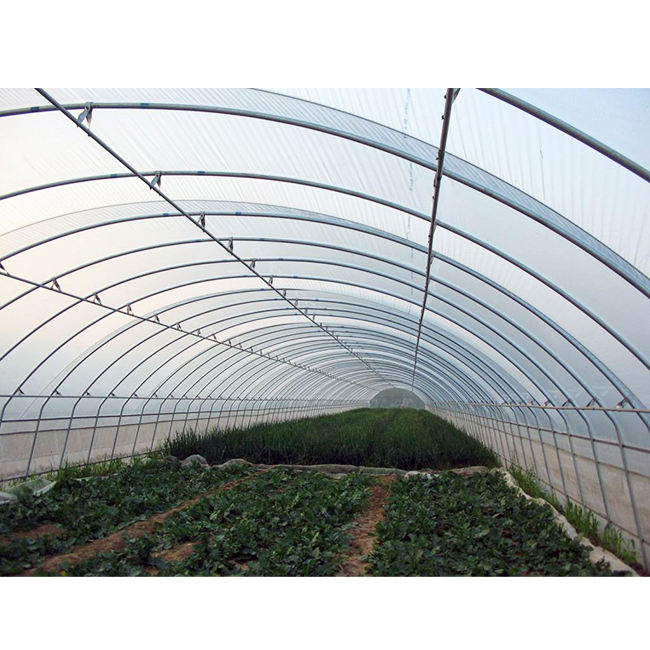 agricultural greenhouse net for agricultural greenhouse Plastic Film Cover Galvanized Steel Frame single  span greenhouse