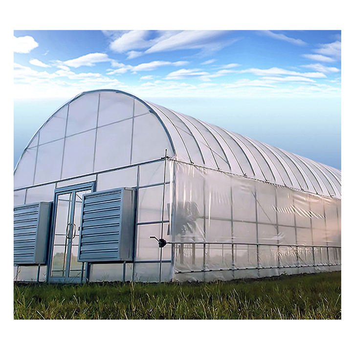 agricultural greenhouse net for agricultural greenhouse Plastic Film Cover Galvanized Steel Frame single  span greenhouse