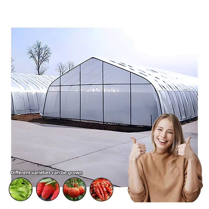 buy cheap large single tunnel pe greenhouse for vegetables low cost greenhouse complete frame