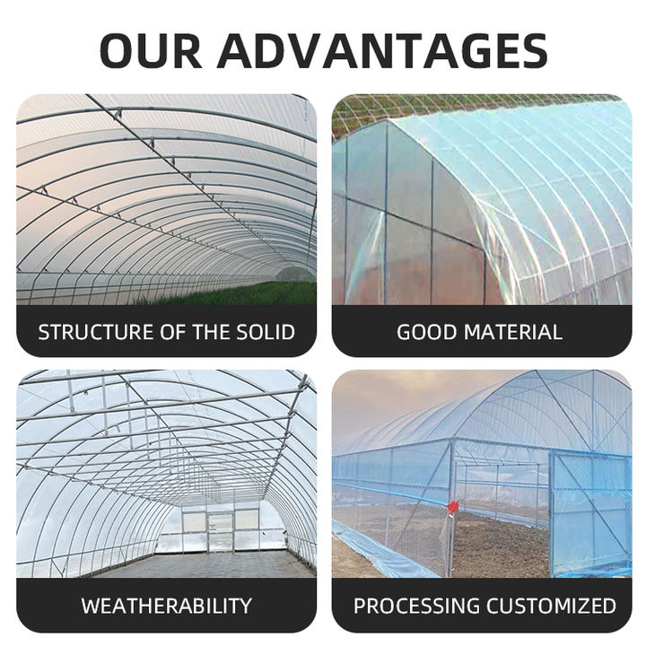 buy cheap large single tunnel pe greenhouse for vegetables low cost greenhouse complete frame