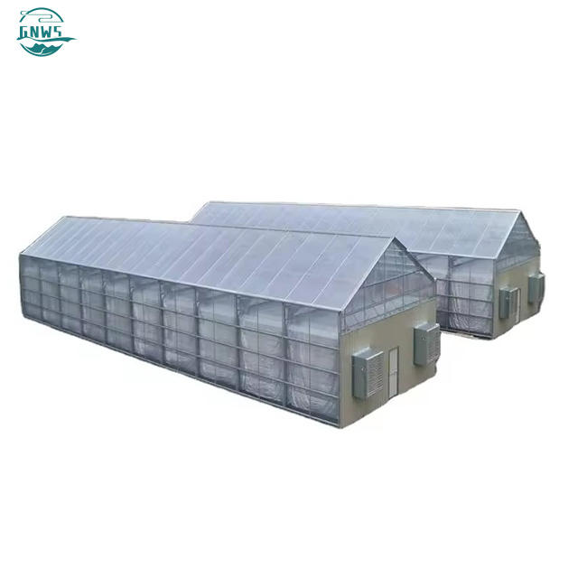 Buy high quality 3m 5m 8m span in greenhouse cheap polycarbonate blackout green house for sale Discount Factory