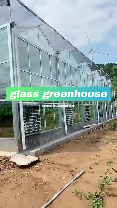 china custom commercial agriculture greenhouse green house frame Polycarbonate glass multi-span  planting  greenhouse for sale