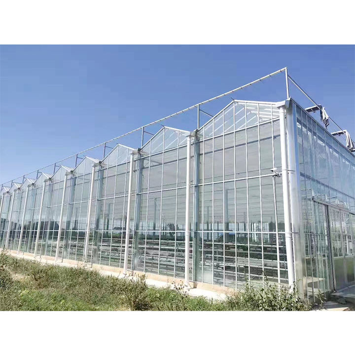 china custom commercial agriculture greenhouse green house frame Polycarbonate glass multi-span  planting  greenhouse for sale