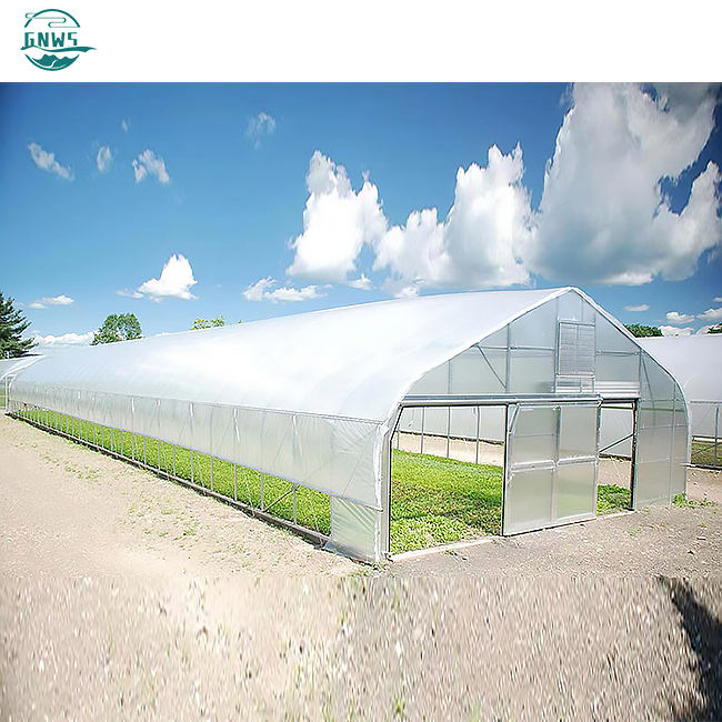 china single span low tomato green house tunnel hydroponics system vegetable poly film tunnel single-span greenhouses for sale