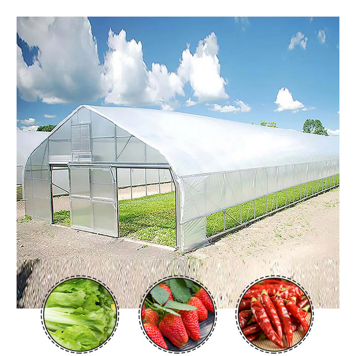 commercial plant Single Span automated  Agricultural Greenhouse Film Steel Frame plastic  tunnel green house for sale