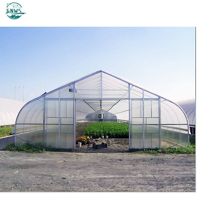 Custom hot house complete film covered outdoor green houses full spectrum plant growth lamp greenhousegarden greenhouse Mass Wholesale