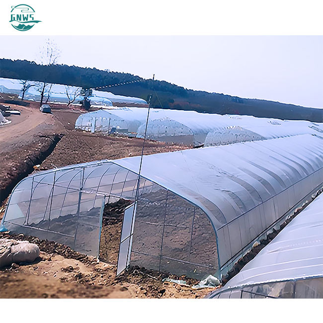 Custom hot house complete film covered outdoor green houses full spectrum plant growth lamp greenhousegarden greenhouse Mass Wholesale
