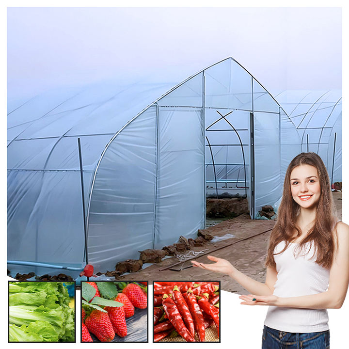 custom steel frame  mushroom growing patio chicken single-span agricultural tunnel strawberry prefab greenhouse frame for sale