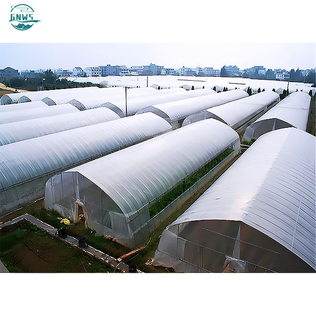 custom steel frame  mushroom growing patio chicken single-span agricultural tunnel strawberry prefab greenhouse frame for sale