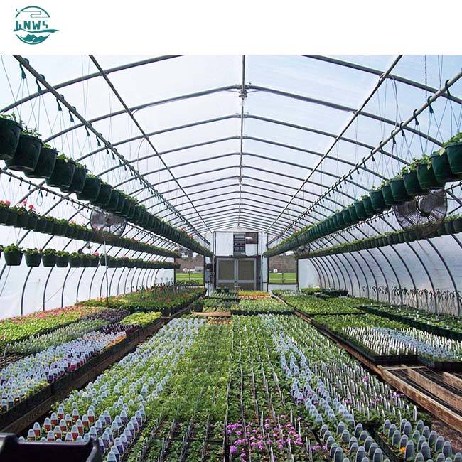 custom steel frame  mushroom growing patio chicken single-span agricultural tunnel strawberry prefab greenhouse frame for sale