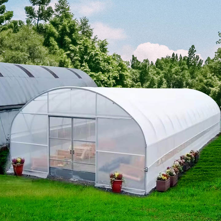 Flower modular commerical low cost hot sale polytunnel berry chicken farming economical tropical agricultural greenhouse price China Wholesale Factory