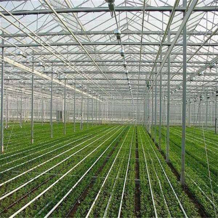 glass  covering  agricultural multi-span glass greenhouse Photovoltaic Solar   vegetable  planting Glass Greenhouses