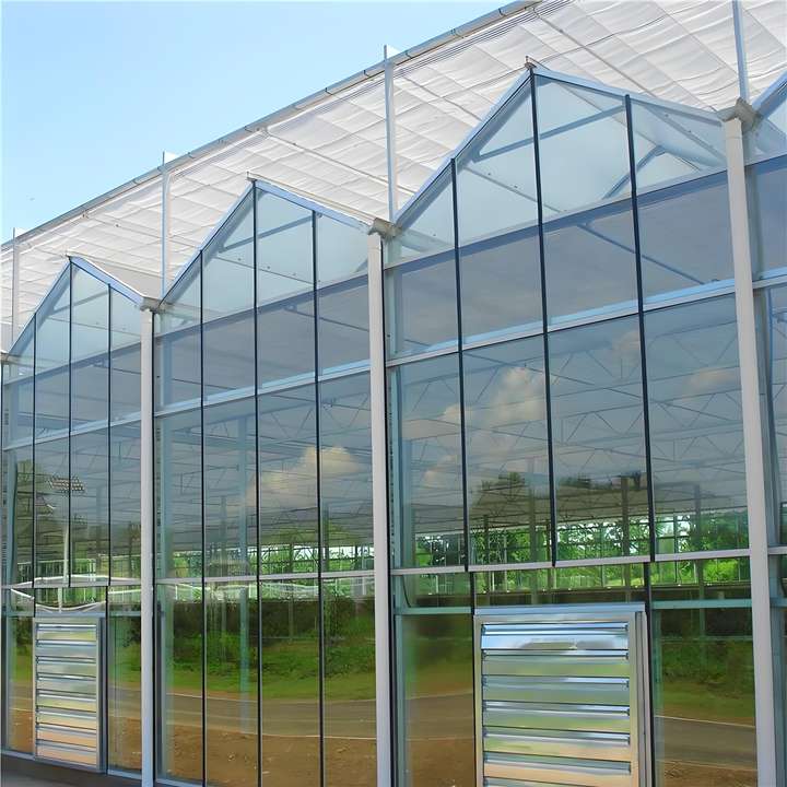 glass  covering  agricultural multi-span glass greenhouse Photovoltaic Solar   vegetable  planting Glass Greenhouses