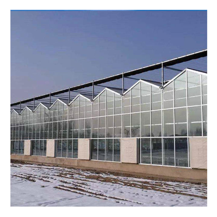 Glass greenhouse Solarium Glass House All Season  Aluminium Sunroom   vegetable  planting glass greenhouse China Exporter B2B
