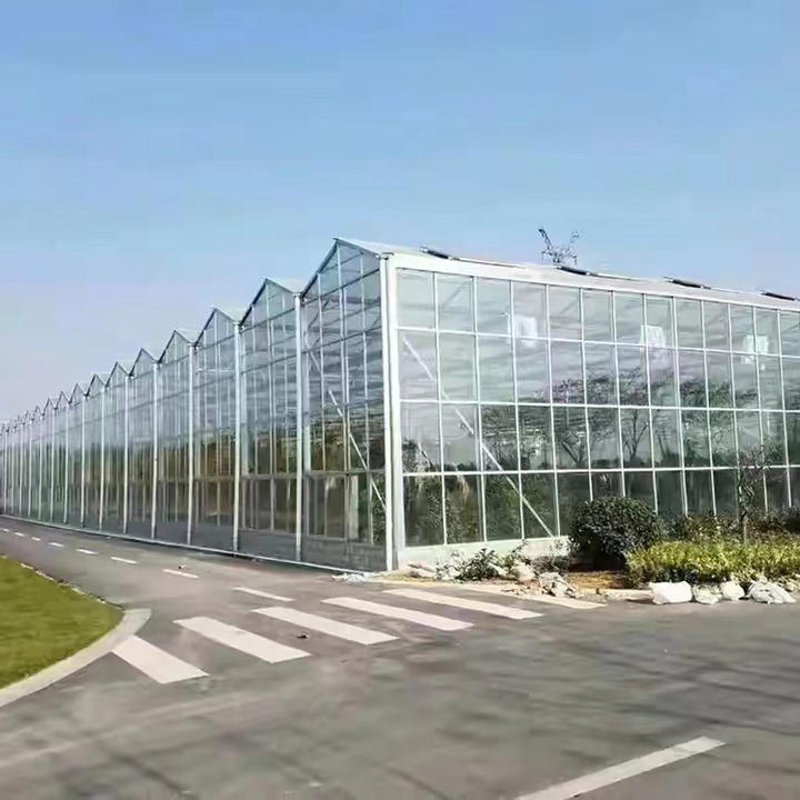Glass greenhouse Solarium Glass House All Season  Aluminium Sunroom   vegetable  planting glass greenhouse China Exporter B2B