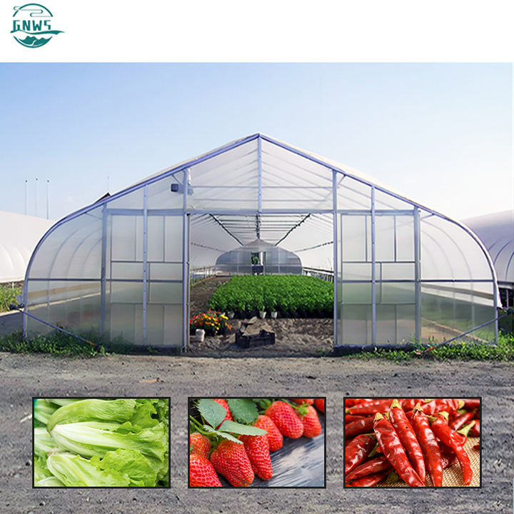 grow equipment hydroponics galvanized steel gansas onion temperature controlled poultry farming plastic greenhouses for sale