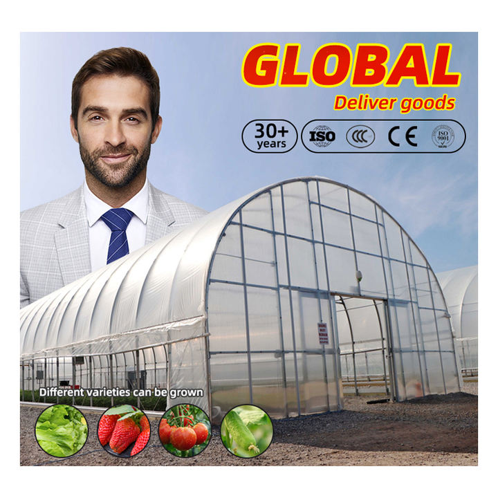 heavy duty steel structure  winter vegetable insect-net frame tunnel structure strawberry mushroom growing greenhouse sale