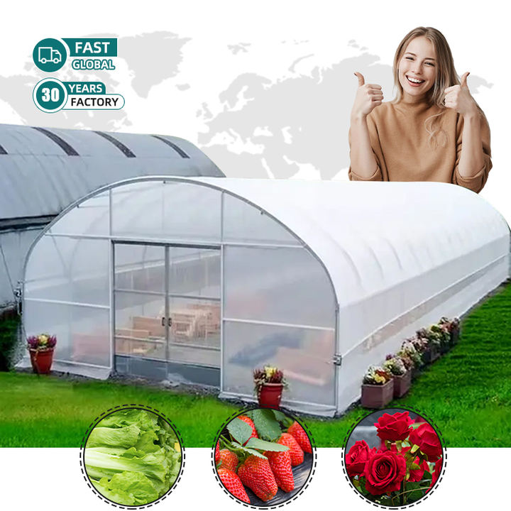 heavy duty steel structure  winter vegetable insect-net frame tunnel structure strawberry mushroom growing greenhouse sale