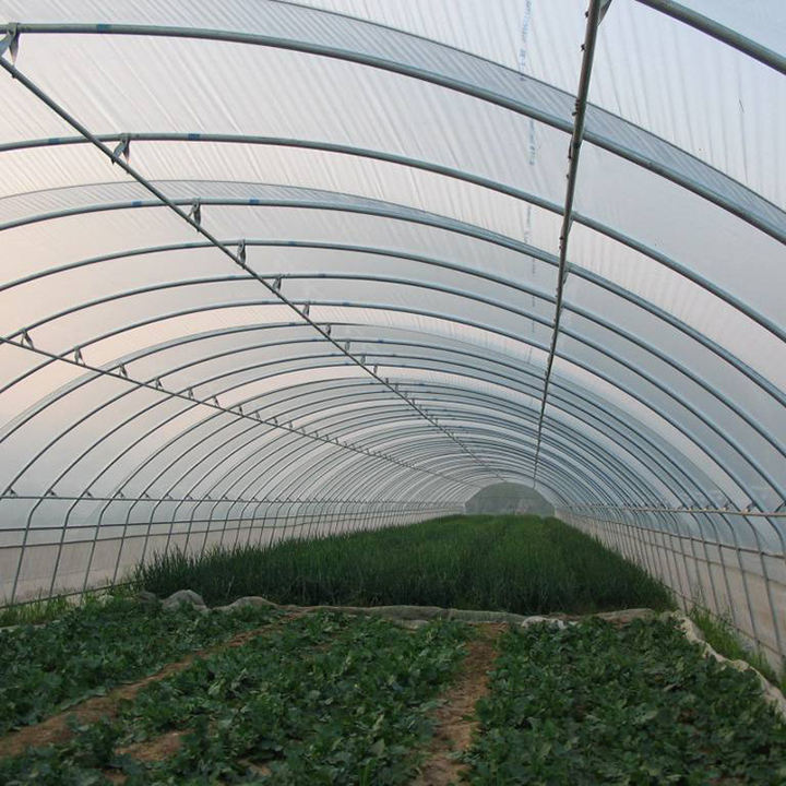 High quality modern steel frame lettuce custom oval pipe choyurh mushroom hot galvanized steel large agricultural greenhouses Customized Manufacturing Solutions