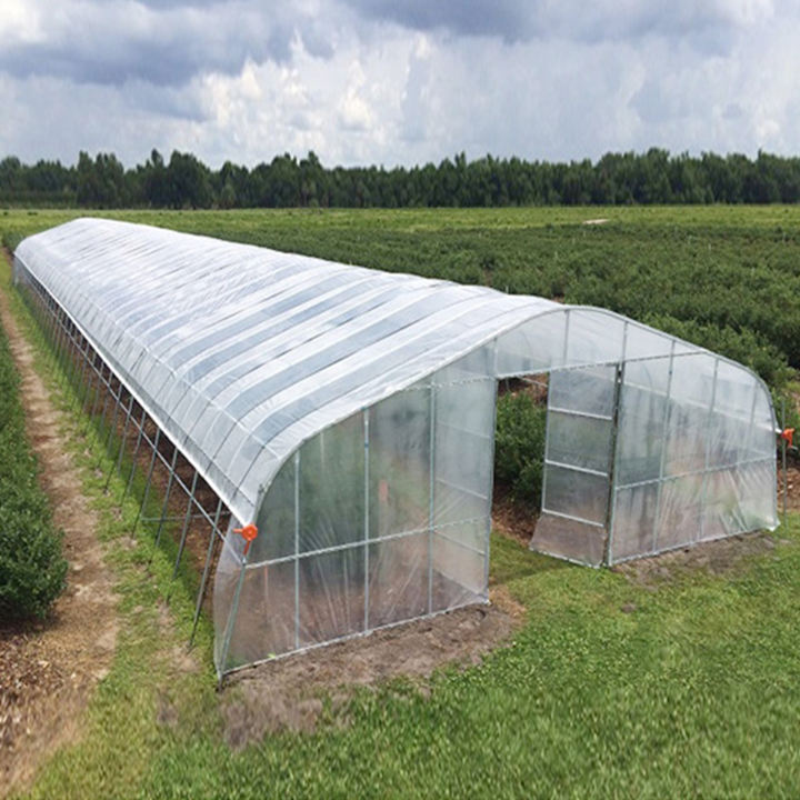 High quality modern steel frame lettuce custom oval pipe choyurh mushroom hot galvanized steel large agricultural greenhouses Customized Manufacturing Solutions