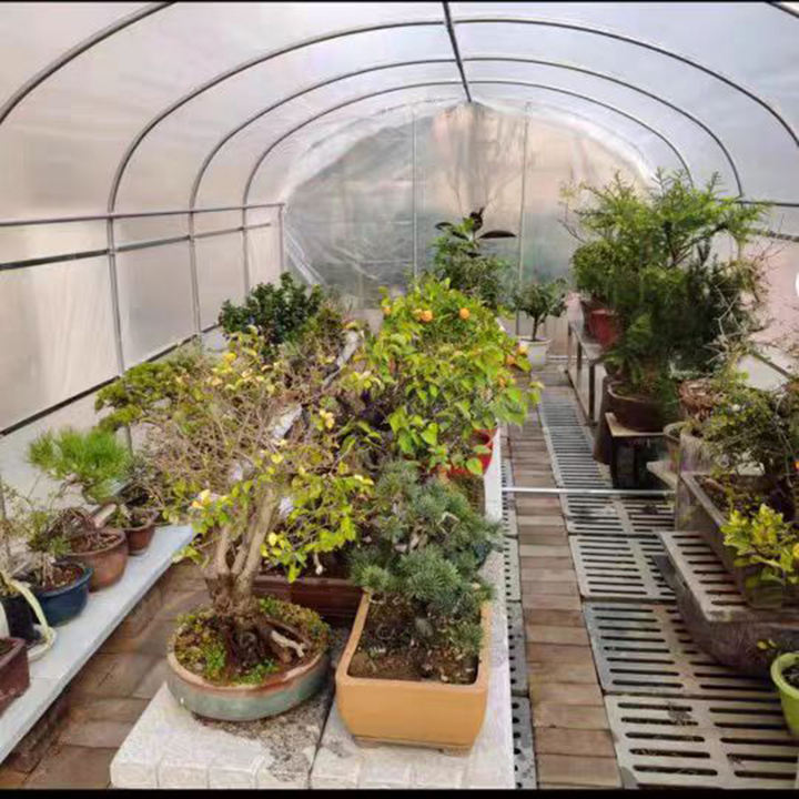 High quality modern steel frame lettuce custom oval pipe choyurh mushroom hot galvanized steel large agricultural greenhouses Customized Manufacturing Solutions