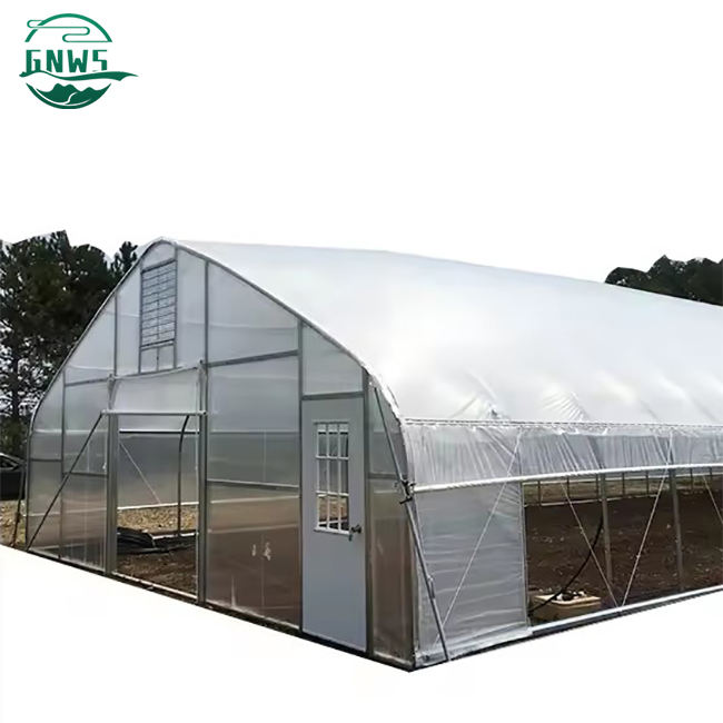 hot 3m5m high agricultural/commercial green house greenhouse low-cost tunnel single span greenhouse frame for sale