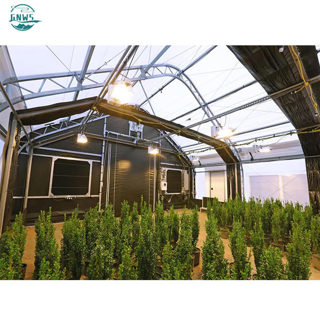 Indoor integrated farming mushroom growing agricultural blackout green houses hidroponia black white film greenhouse structure Wholesale B2B Pricing Outlet