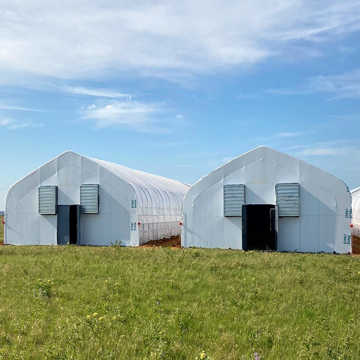 Indoor integrated farming mushroom growing agricultural blackout green houses hidroponia black white film greenhouse structure Wholesale B2B Pricing Outlet