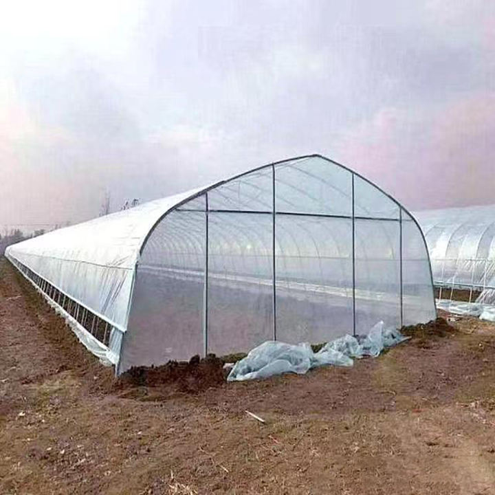 Insulation planting mushroom growing butterflies fish farming watermelon low cost agricultural tomato tunnel greenhouse shed Export Factory Supplier