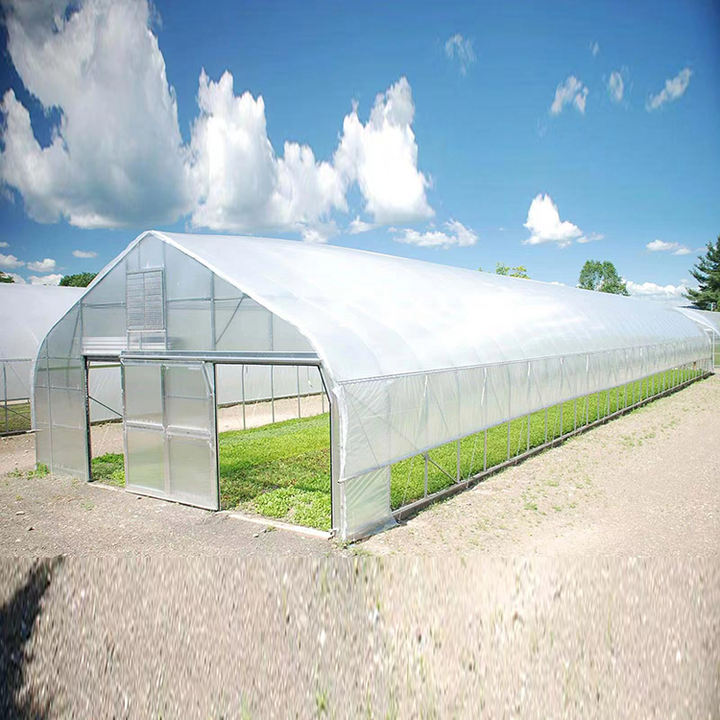 Insulation planting mushroom growing butterflies fish farming watermelon low cost agricultural tomato tunnel greenhouse shed Export Factory Supplier