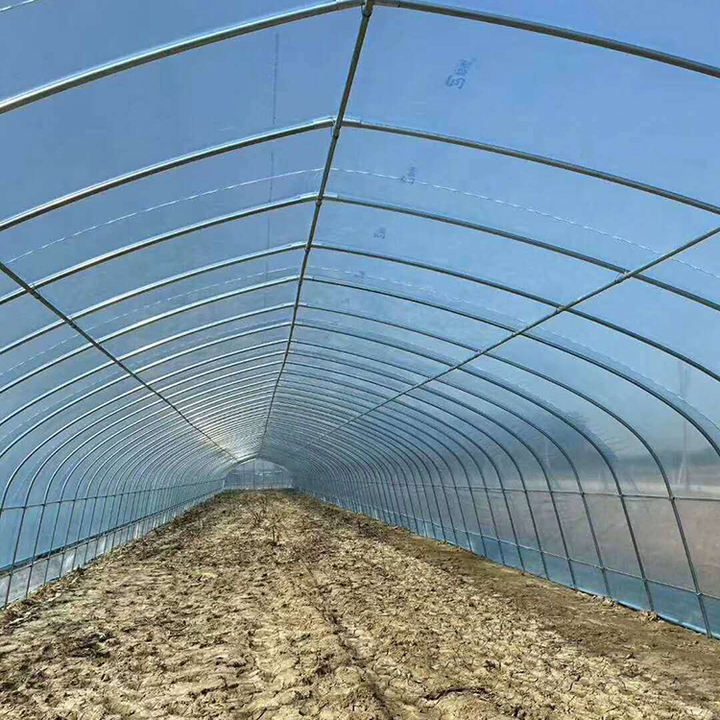 Insulation planting mushroom growing butterflies fish farming watermelon low cost agricultural tomato tunnel greenhouse shed Export Factory Supplier
