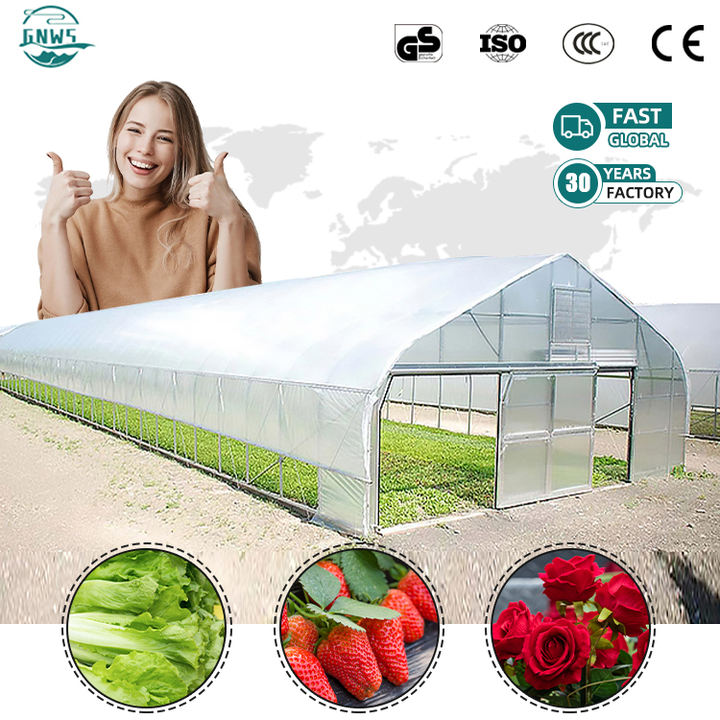 Large commercial Tomato Hydroponics grow invernadero Green House frame tunnels Agricultural prefab Greenhouse For plant Export Manufacturing