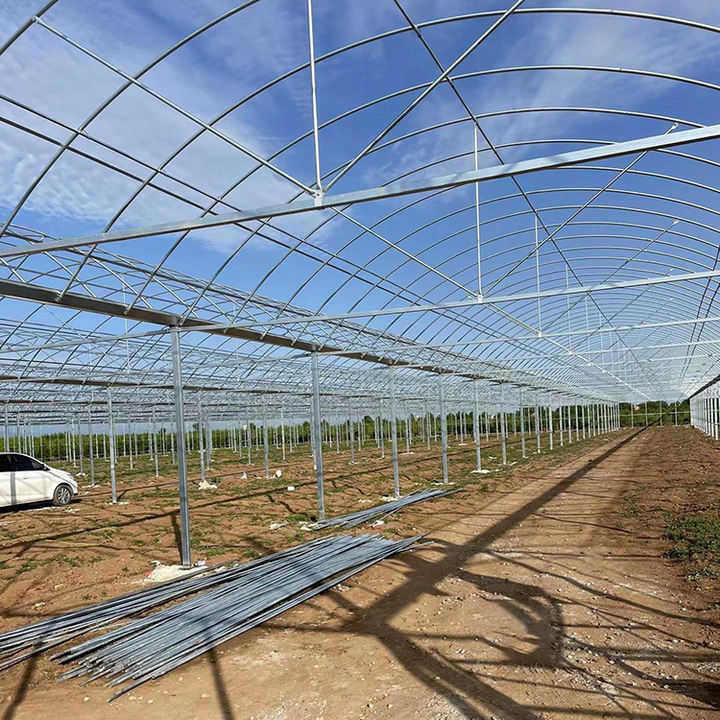 Large multi span flim commercial Agriculture Greenhouse  flim Multi Span Greenhouse Hydroponic Growing System Greenhouse Industrial Supplier Supply