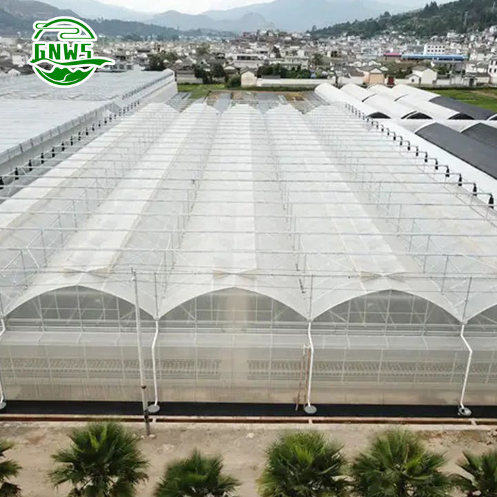 Large polycarbonate greenhouses control hydroponics system farm commercie plant for greenhouse for sale B2B Factory Pricing Supplier