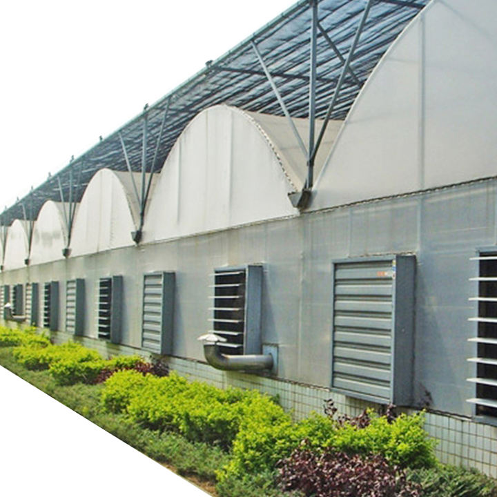 Large polycarbonate greenhouses control hydroponics system farm commercie plant for greenhouse for sale B2B Factory Pricing Supplier