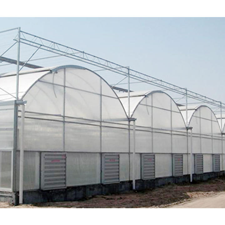 Large polycarbonate greenhouses control hydroponics system farm commercie plant for greenhouse for sale B2B Factory Pricing Supplier